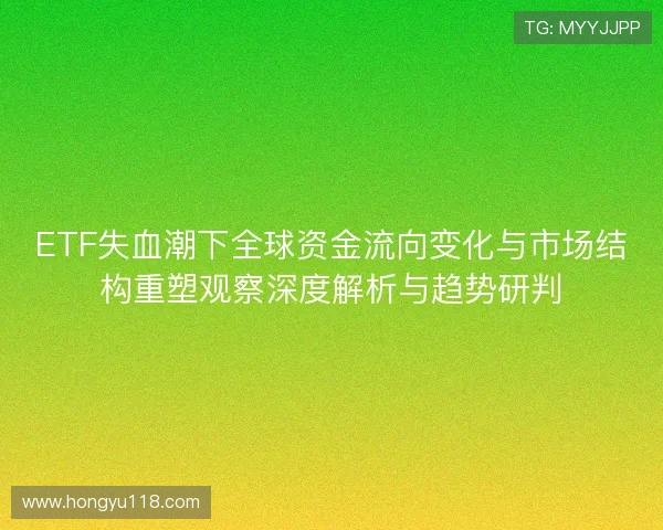 ETF失血潮下全球资金流向变化与市场结构重塑观察深度解析与趋势研判